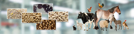 How To Start A Livestock Feed Production Business
