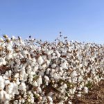 Why Nigerian textile factories are going under