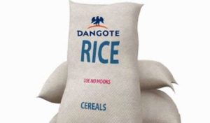 Job creation: Dangote scales up investments in agriculture