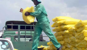 15 Cost-Effective Fertilizer Tips