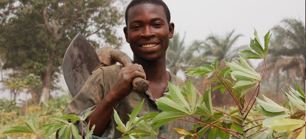 IITA-CWMP Is Putting Smiles On Our Faces, And Making Life Easier For Us, Farmers Say