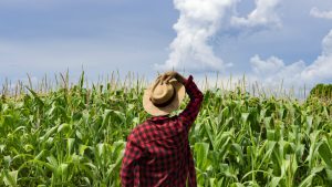 Media And Nigeria’s Agricultural Growth