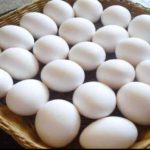 AMREC lists benefits of egg to human health