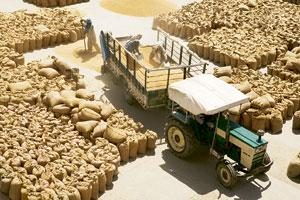 Nigeria’s Surging Food Prices May Rise Even Faster on Dollar Ban