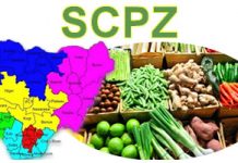 Staple Crops Processing Zones (SCPZ) SCPZ - Staple Crops Processing Zones