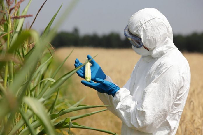Genetically Modified Organisms