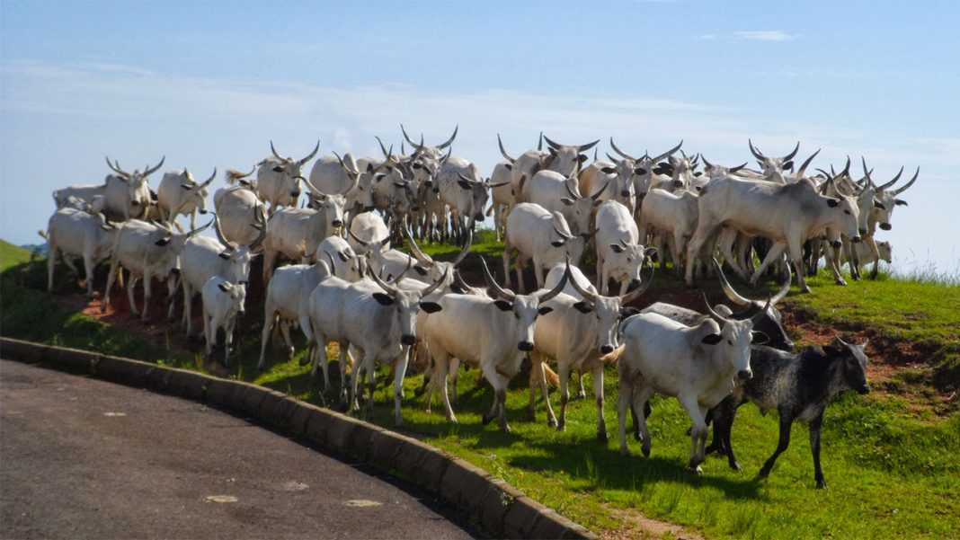 Grazing site