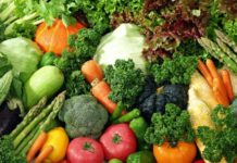Impact of Coronavirus (COVID-19) on Africa’s Agriculture