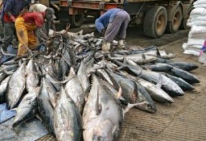 Nigerian Navy arrests suspected illegal fishing trawlers