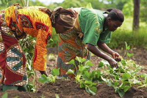 Buhari is making Nigerians hungry again