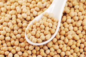 How Nigeria’s Low Investment On Seeds Undermines Food Security