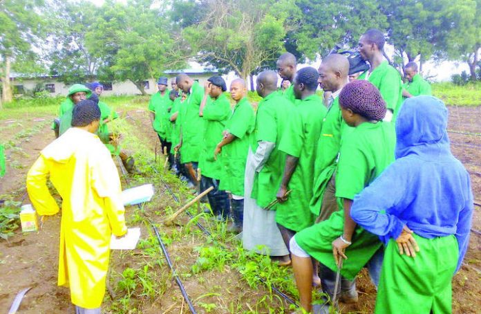 Agric Supply Gaps