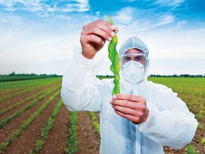 New Crop Varieties Churned Out by IAR