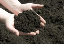 Everything You Need To Know About The Different Soil Types loamy soil