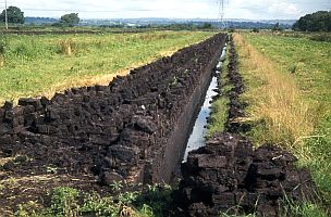 Peaty soil
