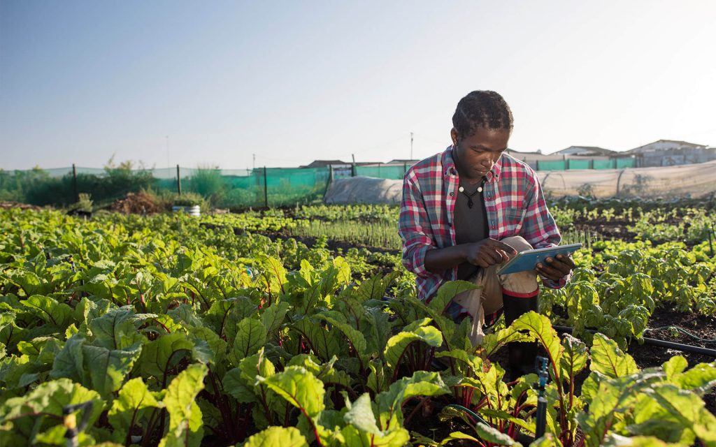 NCAM tasks stakeholders on appropriate technologies for enhanced productivity