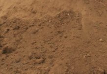 All You Need To Know About Sandy Soil Sandy Soil