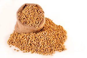 Benue soybean farmers expect bumper harvest
