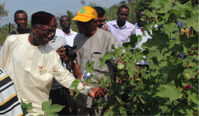 Nigeria’s Agricultural Sector