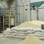 Why price of rice will drop soon - Atiku
