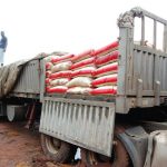 FG urged to discourage agro products import