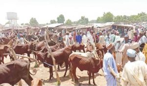 RUGA by another name