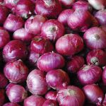 Onion farming can generate N151bn annually – Group