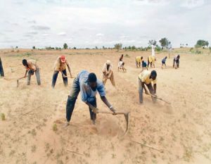 Fruit Markets in Sokoto Affected by Heat