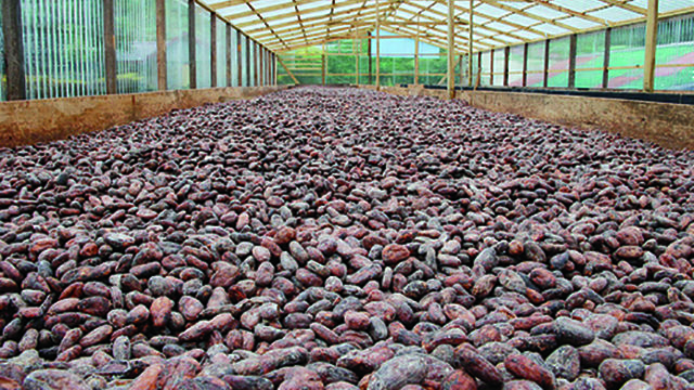 Entrepreneurs, scientists identify agric as way out of penury     – 