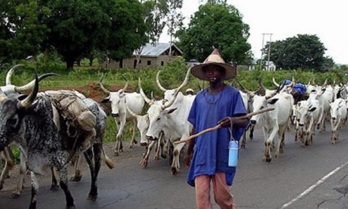 Four Farmers Remanded For Killing Herdsman 