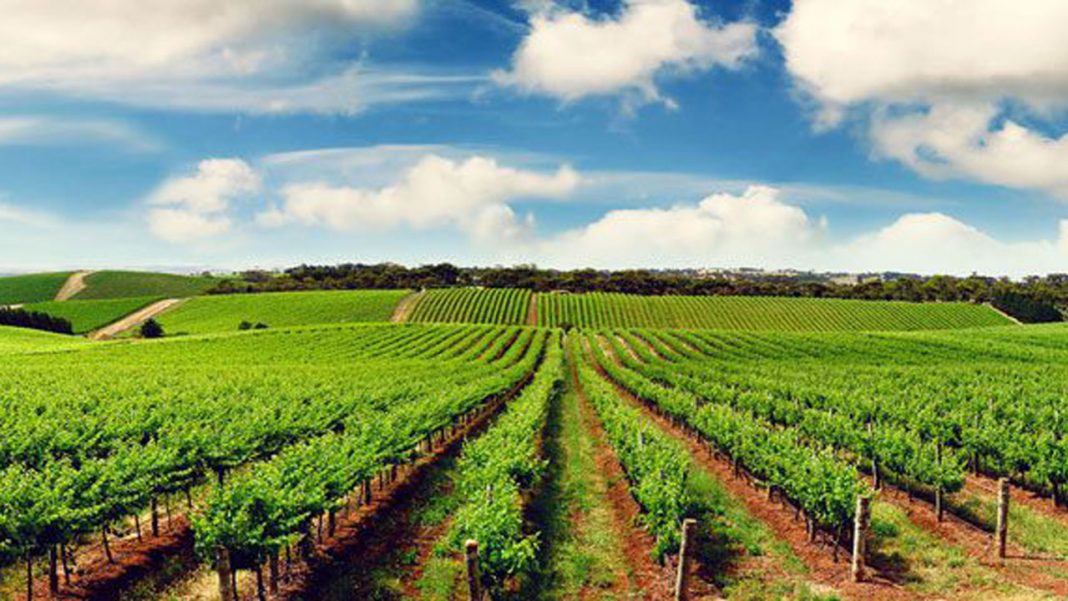GIC to launch 3.5 million Euros farm finance scheme