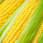How farmers are milling profits from maize