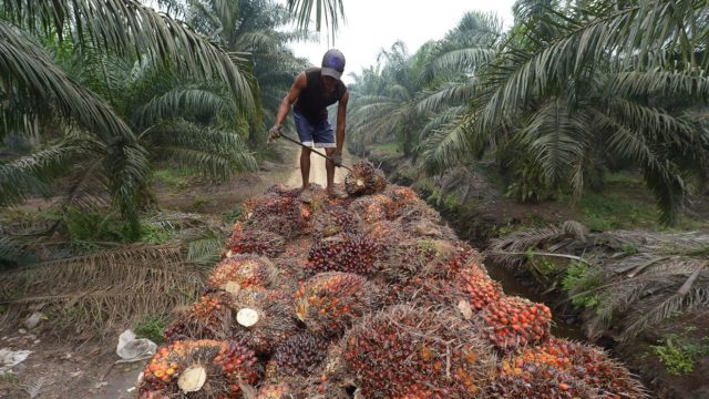 Reviving economy of Abia with agro-allied industry 