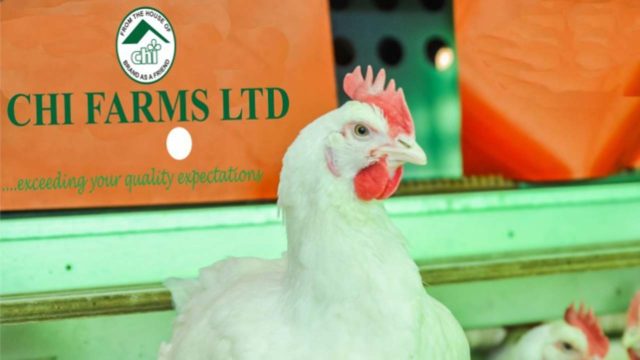 Chi Farms, Zoetis partner on veterinary lab project  