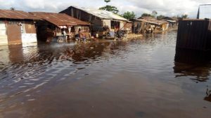 Flood: Register farms with insurance scheme to avoid total loss — Govt.