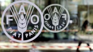 EU, FAO to Upscale fish farming in northeast