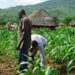 Farmers to Purchase Farming Equipment At 50% Discount - Minister