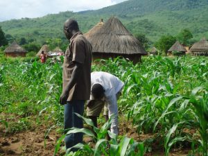 Gov Emmanuel to increase Akwa Ibom's investment in agriculture