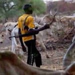 Kidnapped Adamawa cattle breeders freed after N4.4m ransom