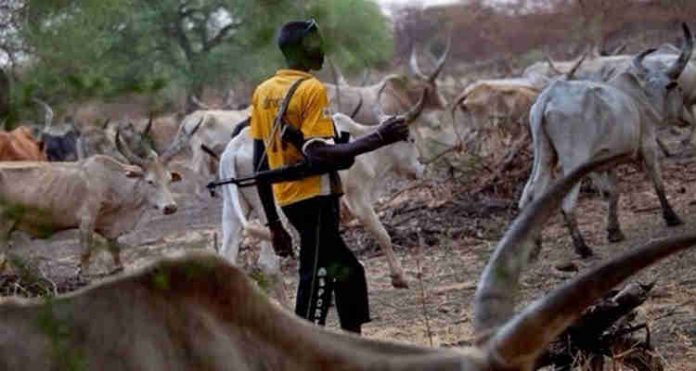Herdsmen Kill Four, Burn 35 Houses In Plateau