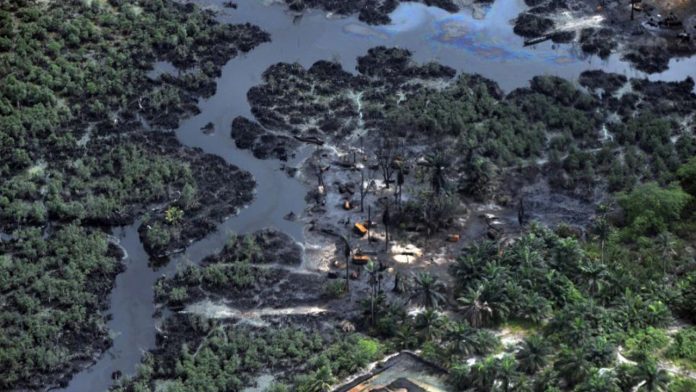 Niger Delta ex-agitators canvass longer training period