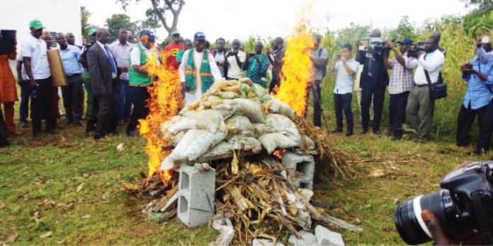 Nigeria unveils 1st seed diagnostics testing lab as 2018 seed fair ends Nigeria unveils 1st seed diagnostics testing lab as 2018 seed fair ends