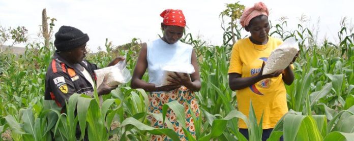 Oyo solicits demand-driven projects for Agriculture
