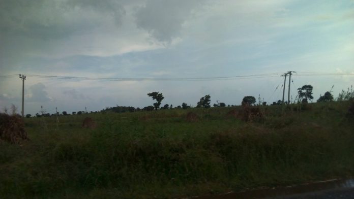 Police deploy strike force to stop destruction of farmlands by armed herders in Jigawa 