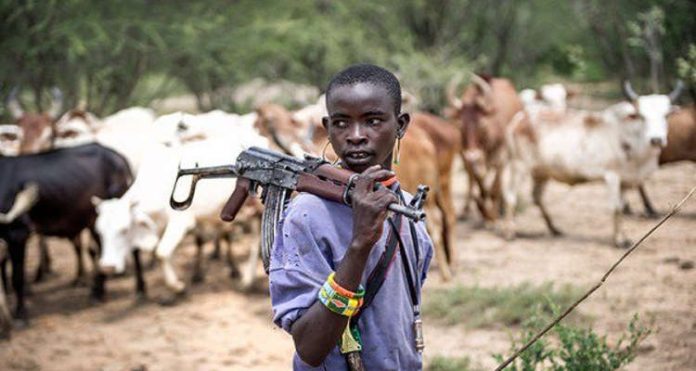 Ribadu Says Buhari Not Supporting Herdsmen