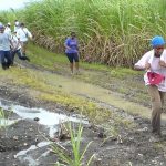 Flooding: Averting farmers’ yearly losses