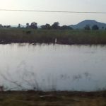 Flooding: Averting farmers’ yearly losses
