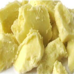 Bida Poly Builds Shea Butter Processing centre in Ekosa, Niger State