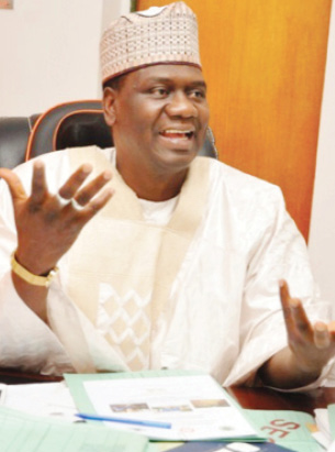 Why Nigeria should promote stevia plants production – RMRDC boss 