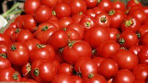Dangote tomato processing factory shut down again